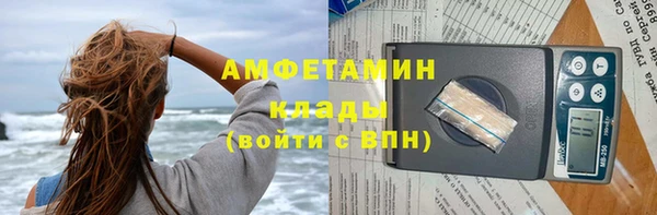 a pvp Бородино