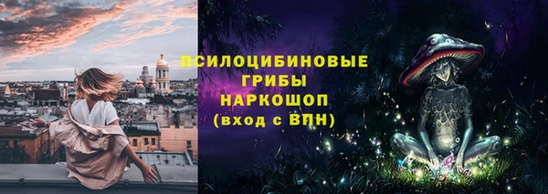 гидропоника Строитель