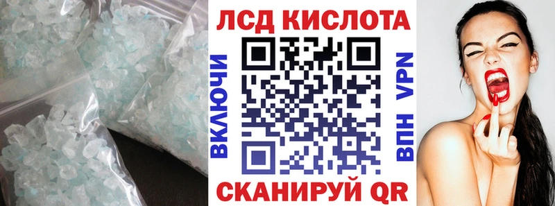 блэк спрут зеркало  Егорьевск  Лсд 25 экстази кислота 