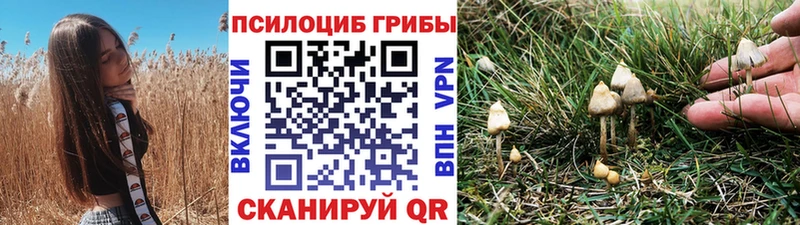 Псилоцибиновые грибы прущие грибы  Егорьевск 